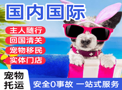 萨尔图航空托运国际宠物托运 【国
